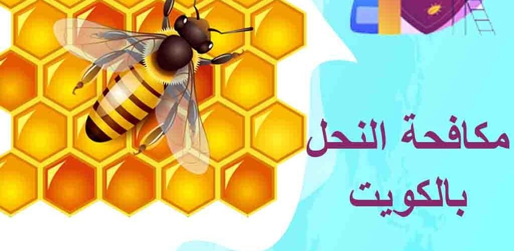 شركة مكافحة النحل بالكويت