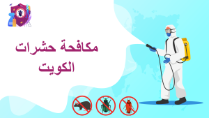 مكافحة حشرات الكويت