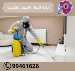 شركة ابادة النمل الابيض بالكويت
