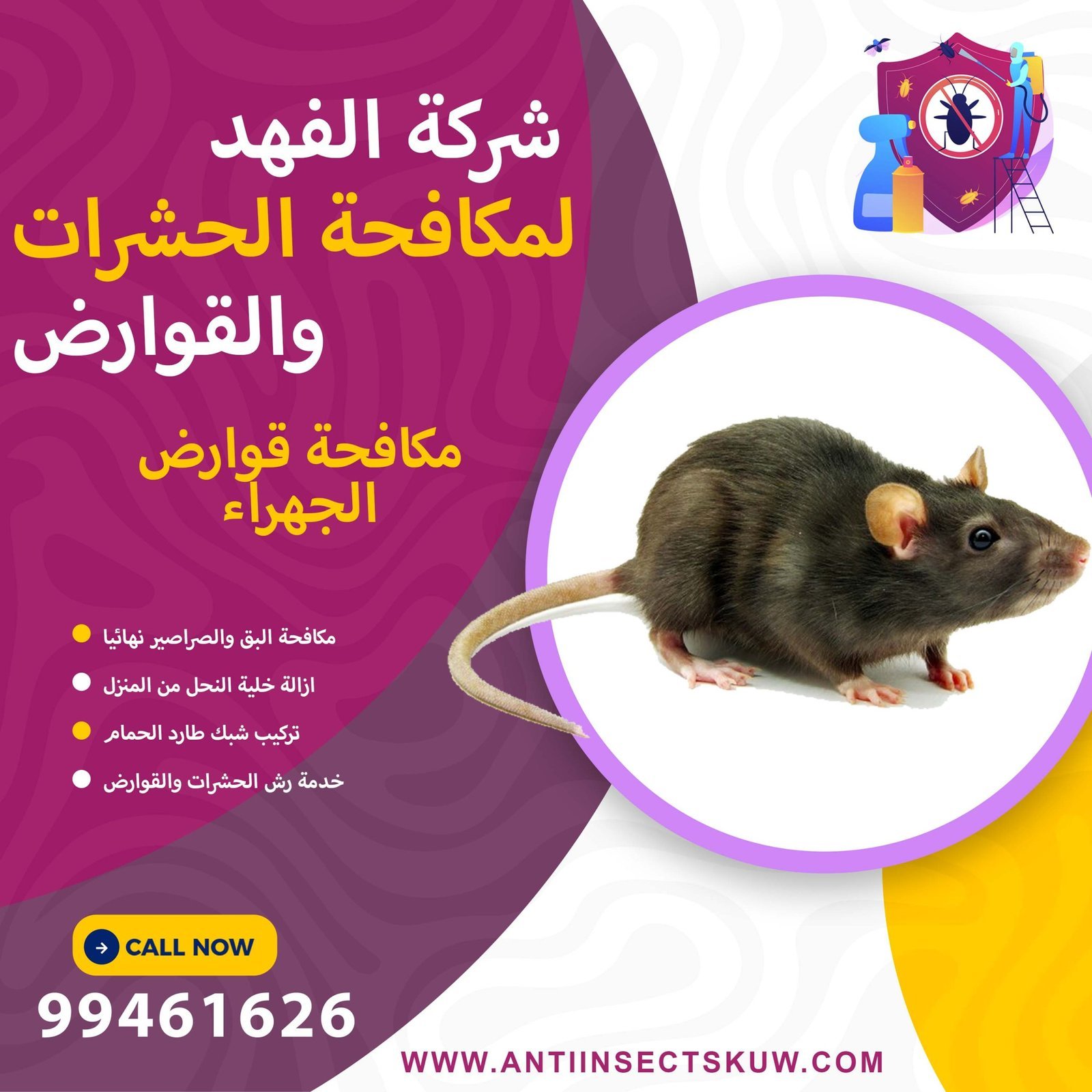 شركة مكافحة قوارض الجهراء