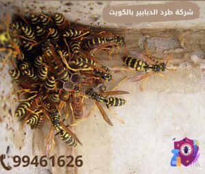 شركة طرد الدبابير بالكويت