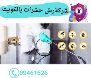 شركة رش حشرات بالكويت