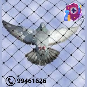 شبك طارد الحمام بالكويت
