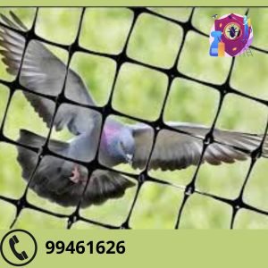 شركة تركيب طارد الحمام بالكويت