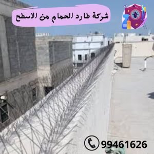 شركة طارد الحمام من السطح بالكويت
