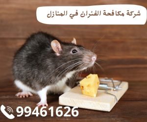 شركة مكافحة الفئران في المنازل 