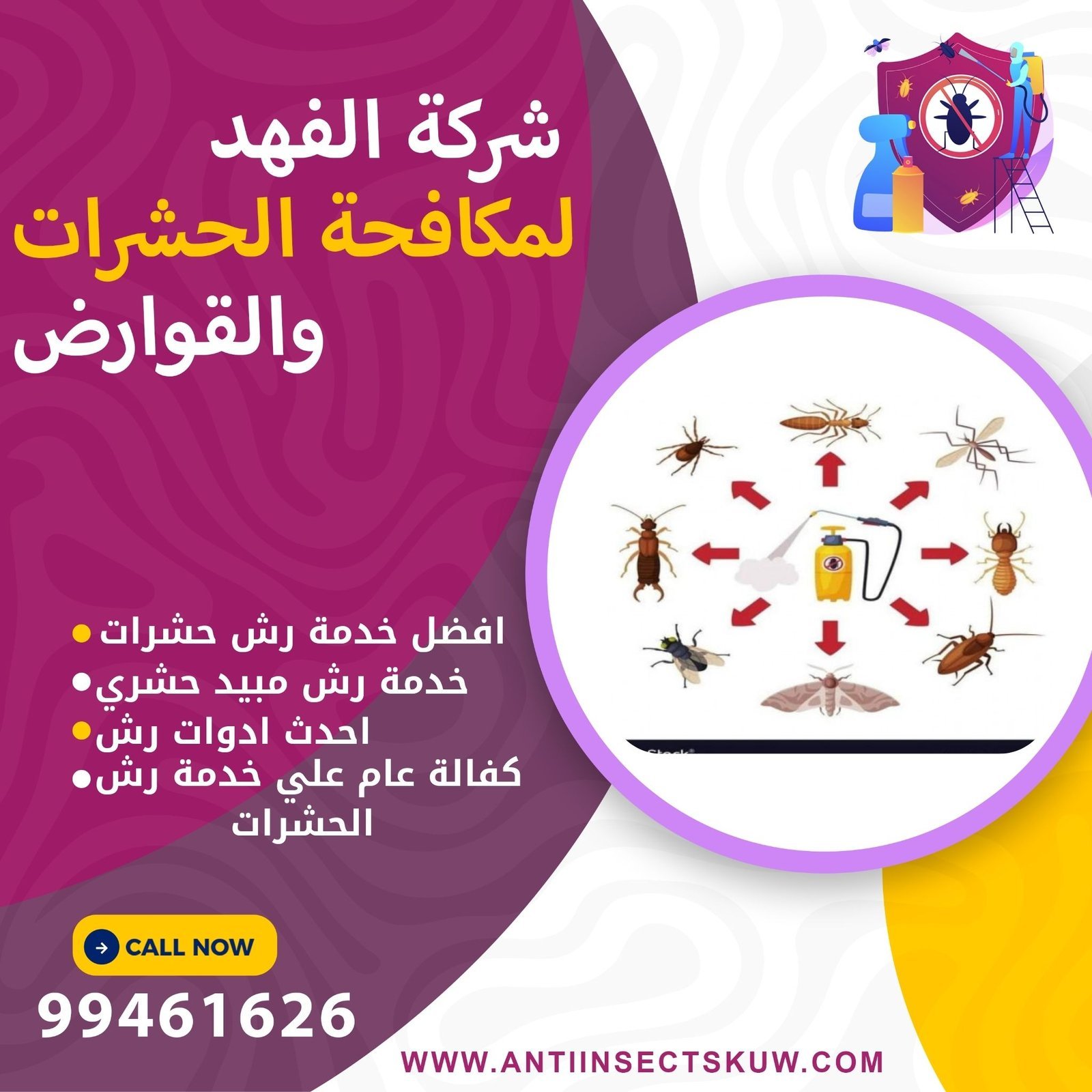 شركة رش الحشرات بالكويت