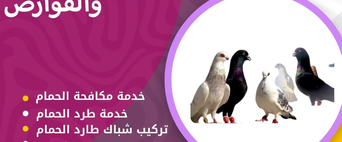 شركة مكافحة الحمام بالكويت