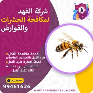 شركة مكافحة النحل بالكويت