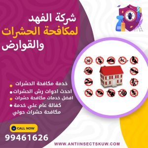 شركة مكافحة حشرات حولي