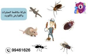 شركة مكافحة الحشرات والقوارض بالكويت