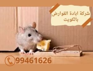 شركة ابادة القوارض بالكويت