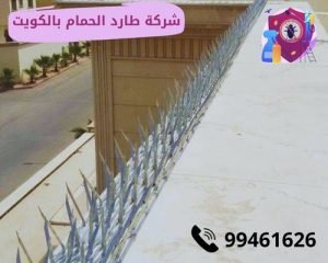 شركة طارد الحمام بالكويت
