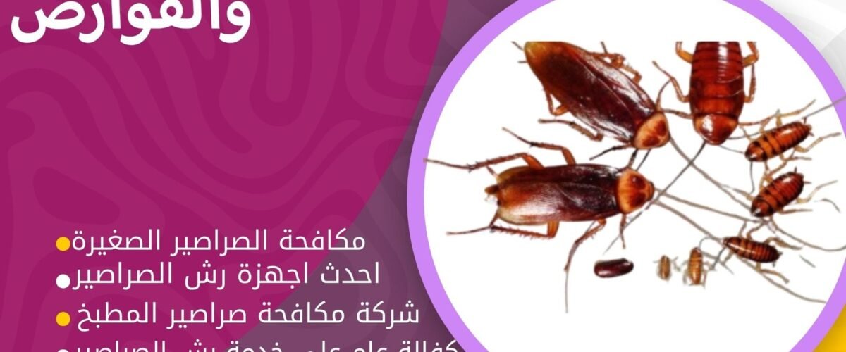 شركة مكافحة الصراصير الصغيرة بالكويت
