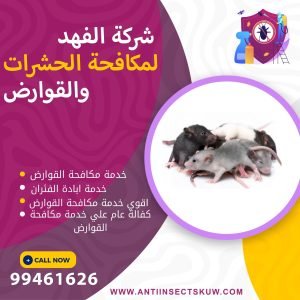 شركة مكافحة القوارض بالكويت