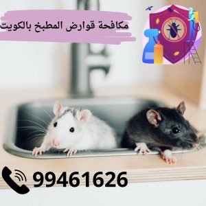 شركة مكافحة قوارض المطبخ بالكويت