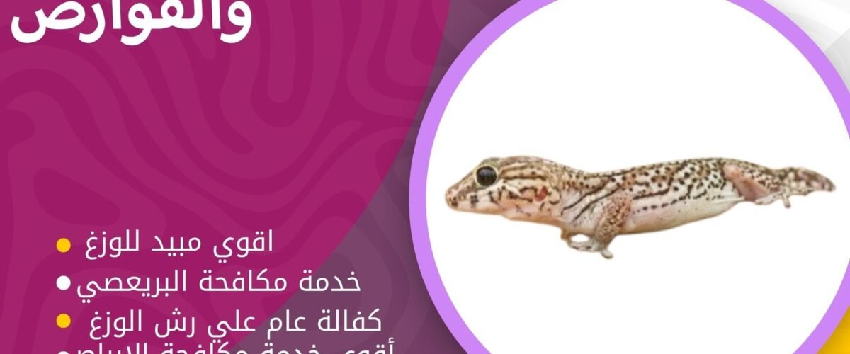 شركة مكافحة البريعصي بالكويت