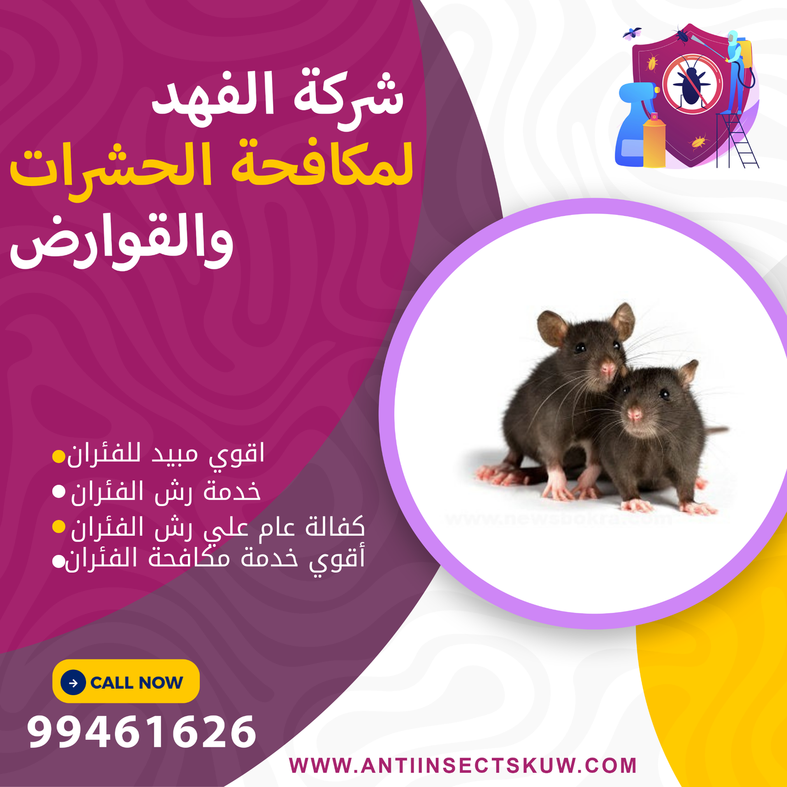 شركة مكافحة الفئران بالكويت