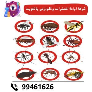 شركة ابادة الحشرات والقوارض بالكويت