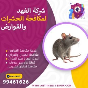 شركة مكافحة قوارض الفحيحيل