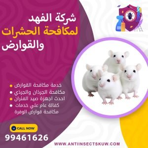 شركة مكافحة قوارض الوفرة