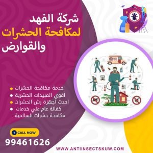 شركة مكافحة حشرات السالمية