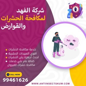 شركة مكافحة حشرات القيروان