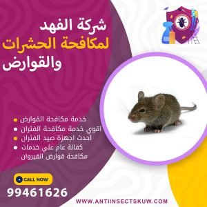 شركة مكافحة قرواض القيروان
