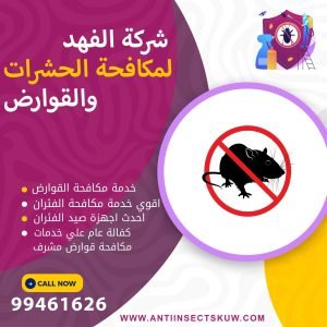 شركة مكافحة قوارض مشرف