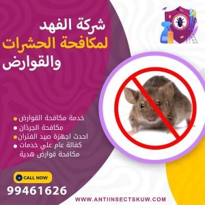 شركة مكافحة قوارض هدية