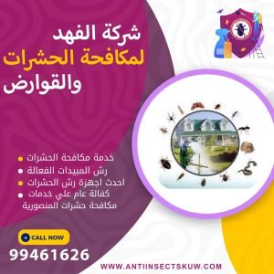 شركة مكافحة حشرات المنصورية
