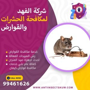 شركة مكافحة قوارض كيفان