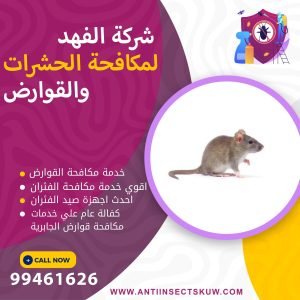 شركة مكافحة قوارض الجابرية