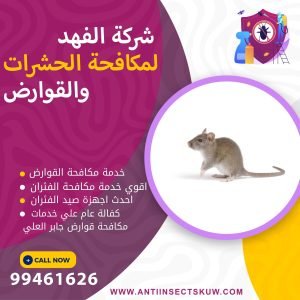 شركة مكافحة قوارض جابر العلي