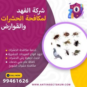 شركة مكافحة حشرات الشويخ