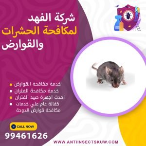 شركة مكافحة قوارض الدوحة