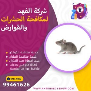 شركة مكافحة قوارض العارضية