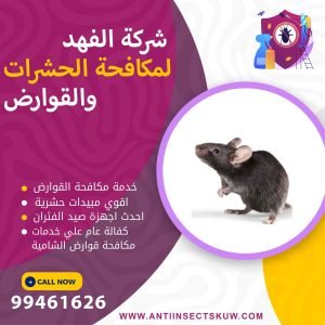 شركة مكافحة قوارض الشامية