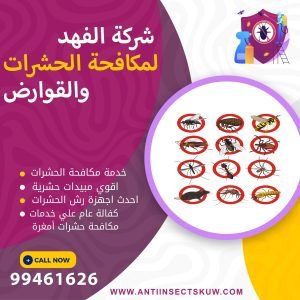 شركة مكافحة حشرات أمغرة