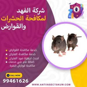 شركة مكافحة قوارض النقرة