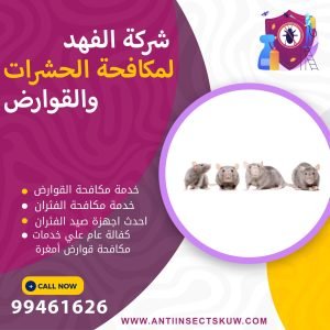 شركة مكافحة قوارض أمغرة