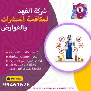 شركة مكافحة حشرات أبرق خيطان