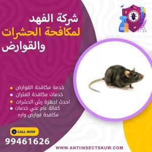 شركة مكافحة قوارض واره