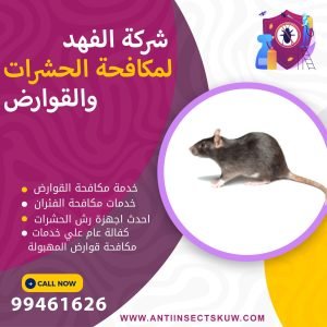شركة مكافحة قوارض المهبولة