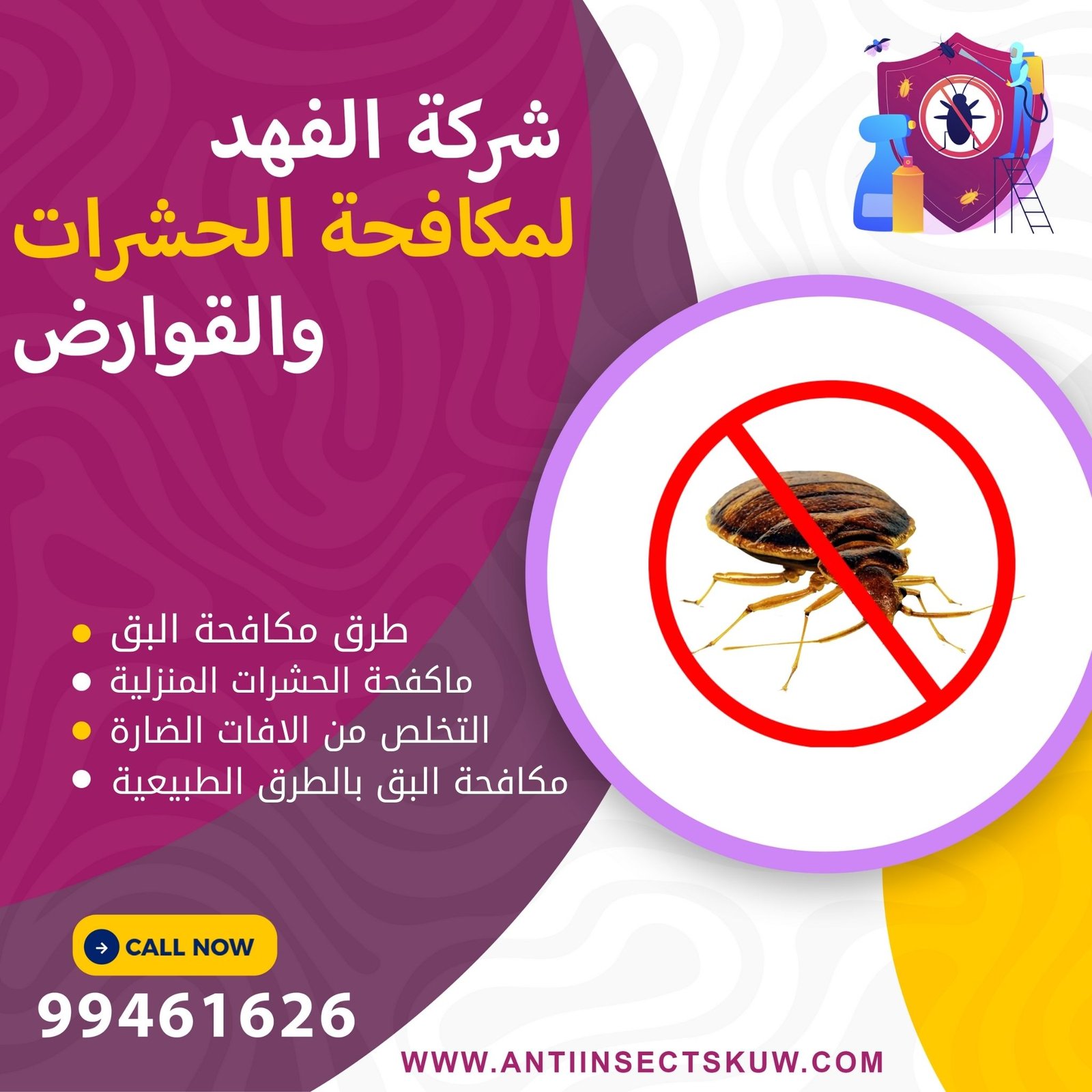 طرق مكافحة البق