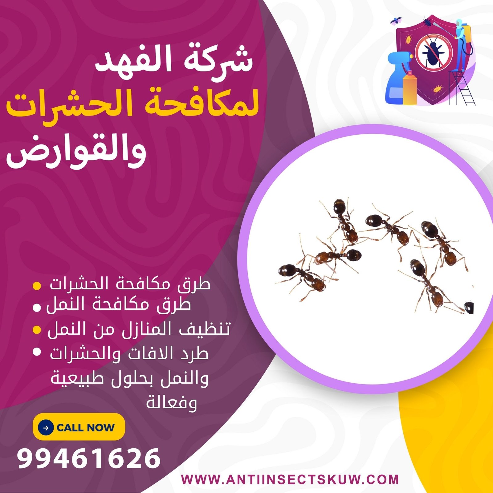 طرق مكافحة النمل في المنزل