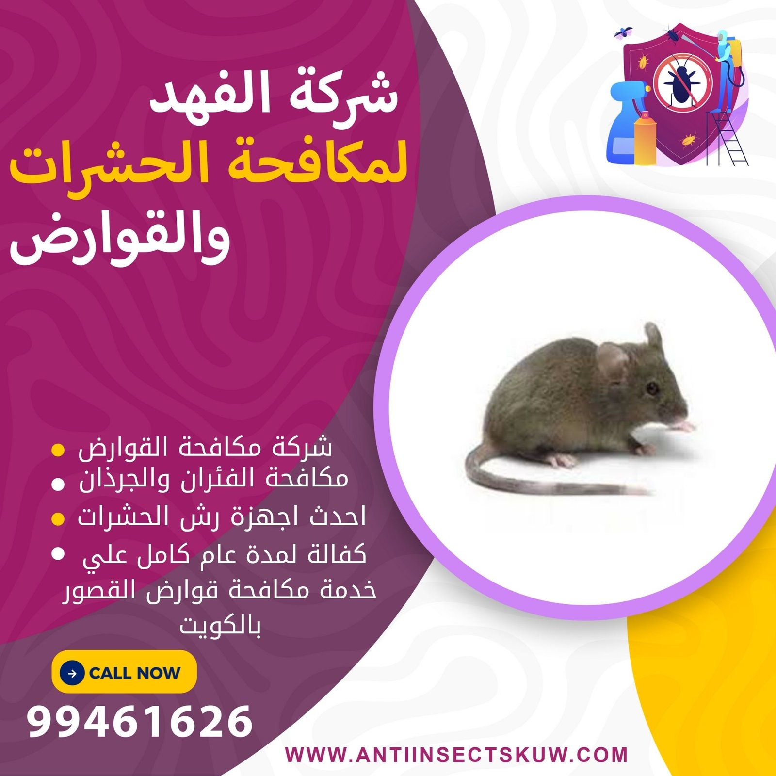 شركة مكافحة قوارض القصور
