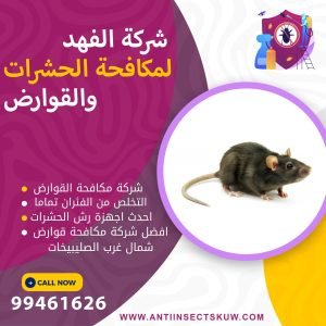 شركة مكافحة قوارض شمال غرب الصليبيخات
