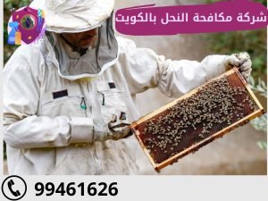 شركة مكافحة النحل بالكويت