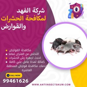 شركة مكافحة قوارض المنطقة العاشرة